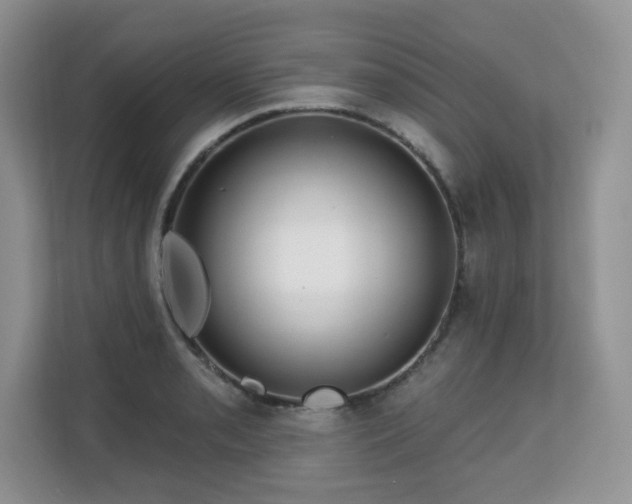 X0000113131085200909110909