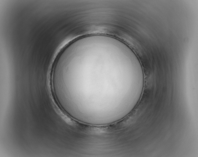 X0000113131086200909110909