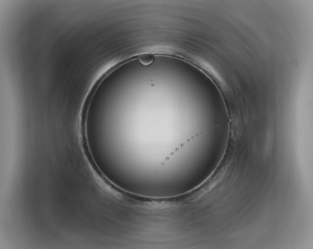 X0000113131087200909110909