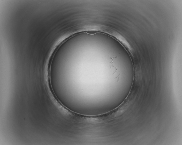 X0000113131088200909110909