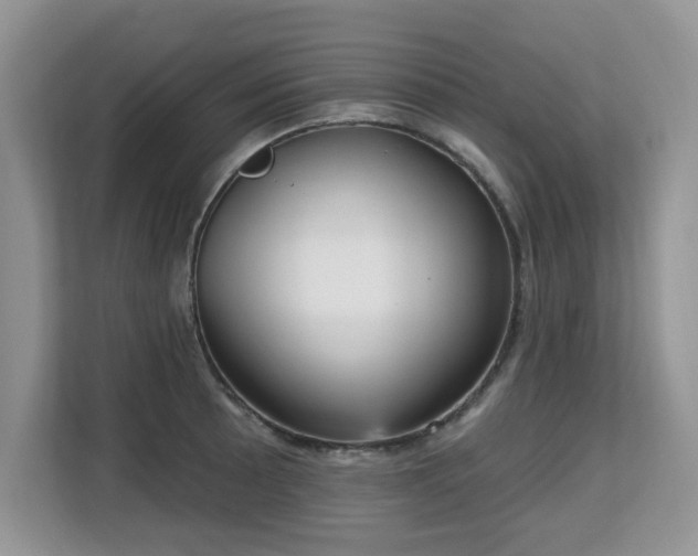 X0000113131089200909110909