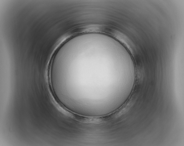 X0000113131090200909110909