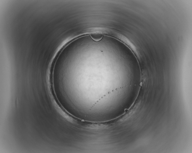 X0000113131091200909110909