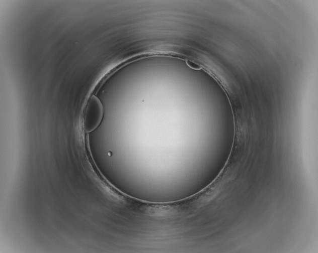 X0000113131092200909110909