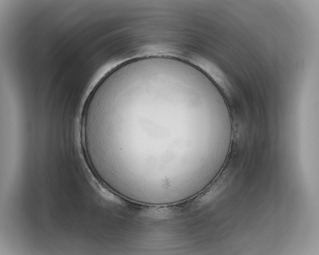 X0000113131094200909110909