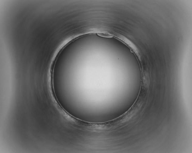 X0000113131096200909110909