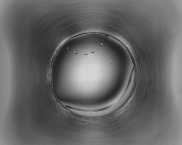 X0000113131097200909110909