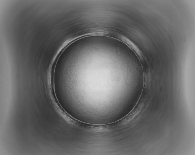 X0000113131099200909110909