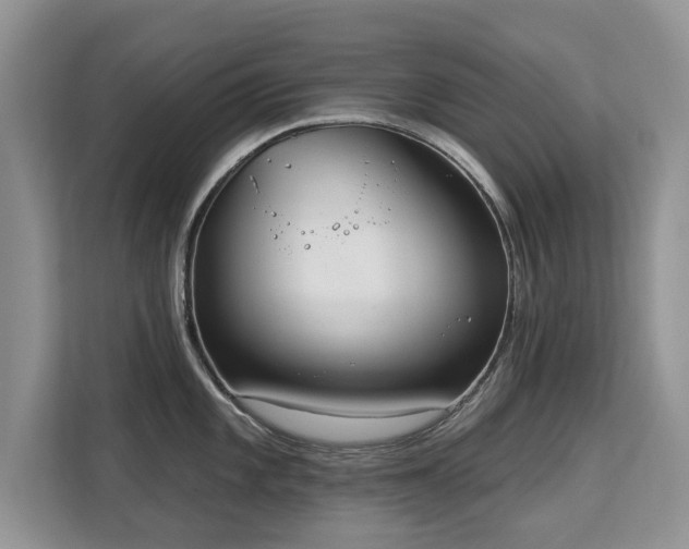 X0000113131101200909110909