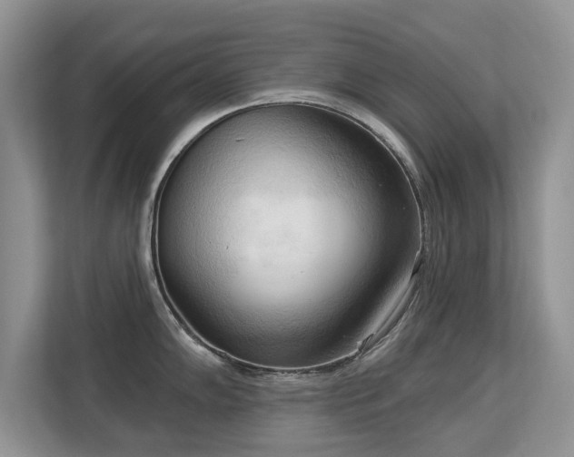 X0000113131102200909110909