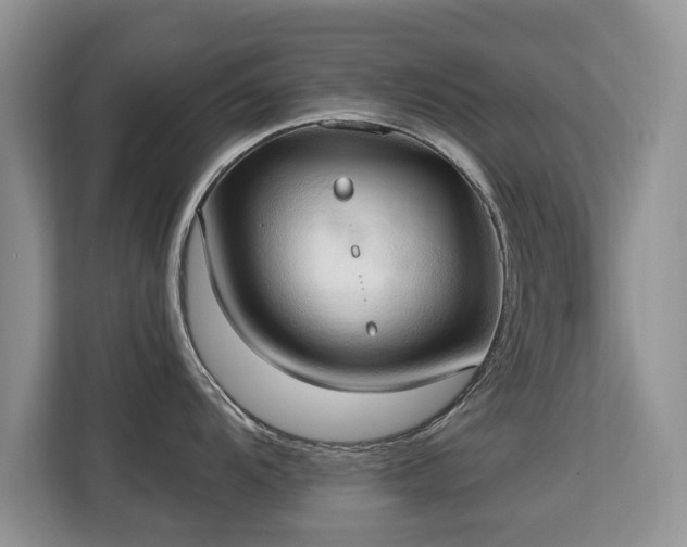 X0000113131104200909110909