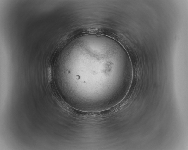 X0000113131106200909110908