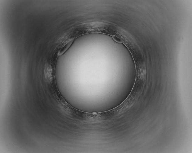 X0000113131108200909110908