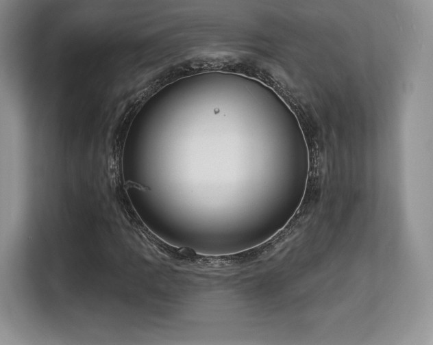 X0000113131109200909110908