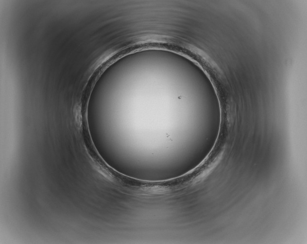 X0000113131113200909110908