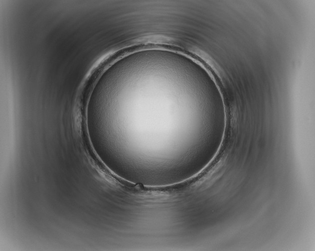 X0000113131115200909110908