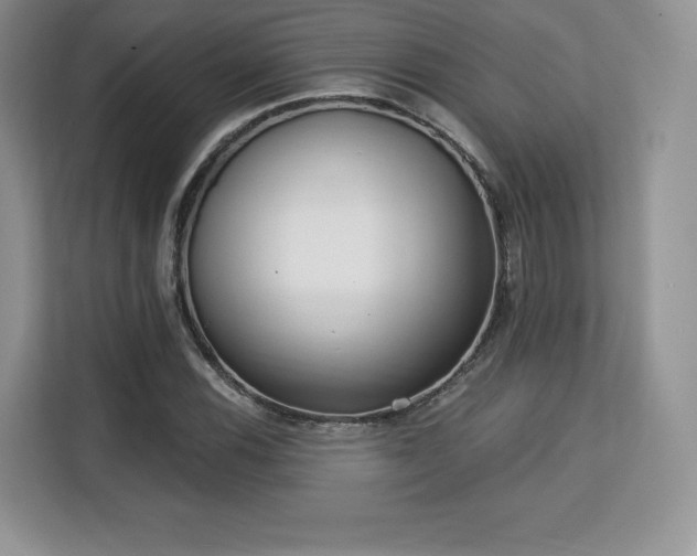 X0000113131116200909110908