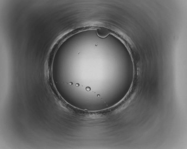 X0000113131117200909110908