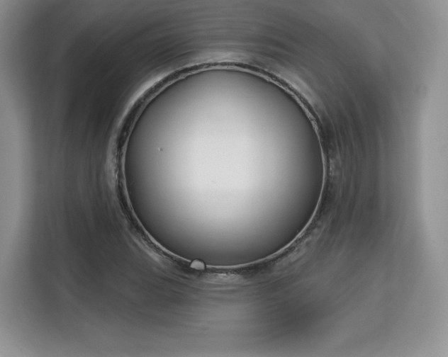 X0000113131119200909110908