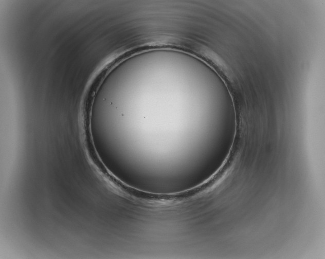 X0000113131122200909110908