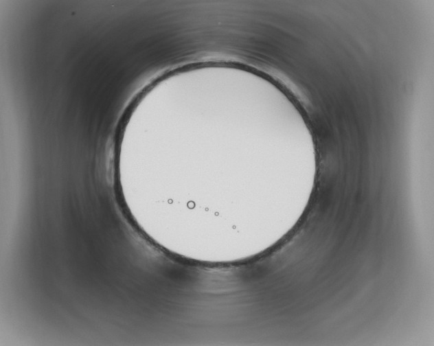 X0000113131126200909110908