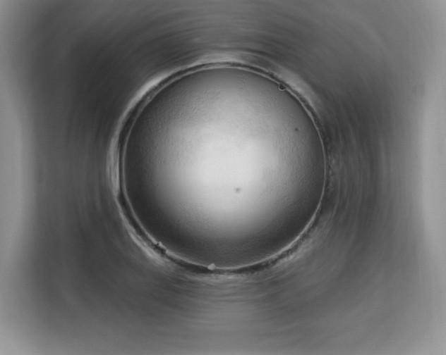 X0000113131127200909110908