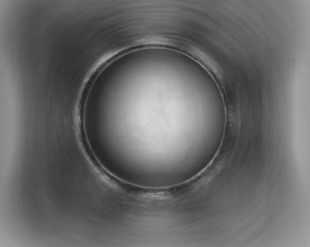 X0000113131133200909110909