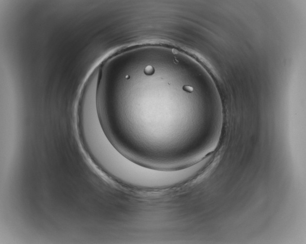 X0000113131134200909110909