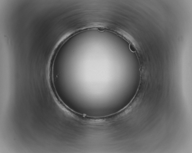 X0000113131135200909110909