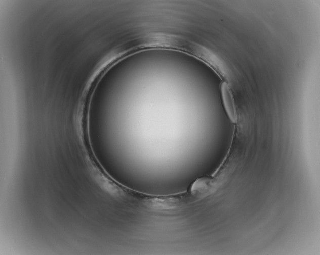 X0000113131138200909110909