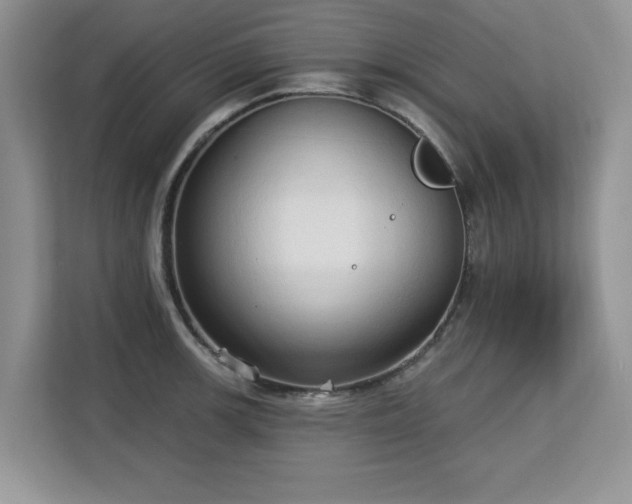 X0000113131139200909110909