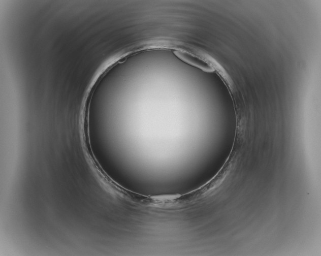 X0000113131146200909110909