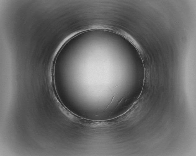 X0000113131148200909110909