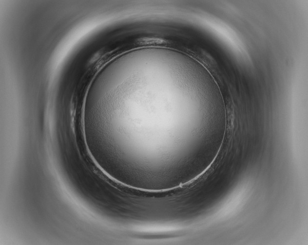 X0000113131151200909110909