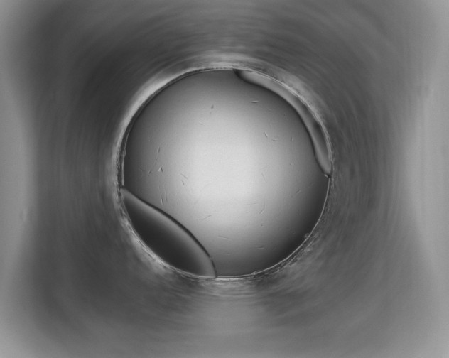 X0000113131152200909110909