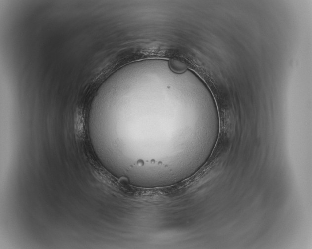 X0000113131154200909110908