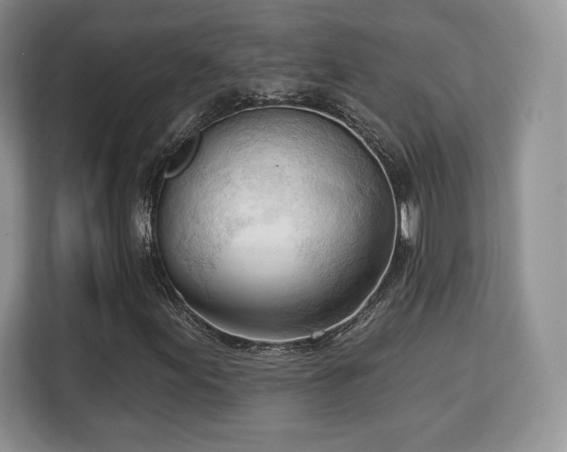 X0000113131155200909110908