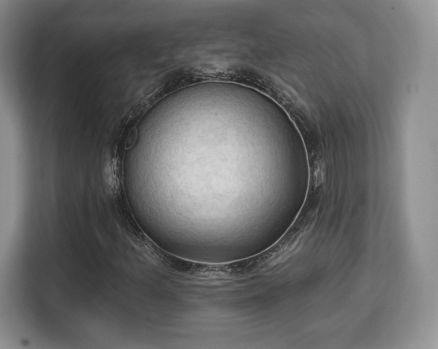 X0000113131156200909110908