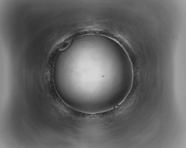 X0000113131159200909110908