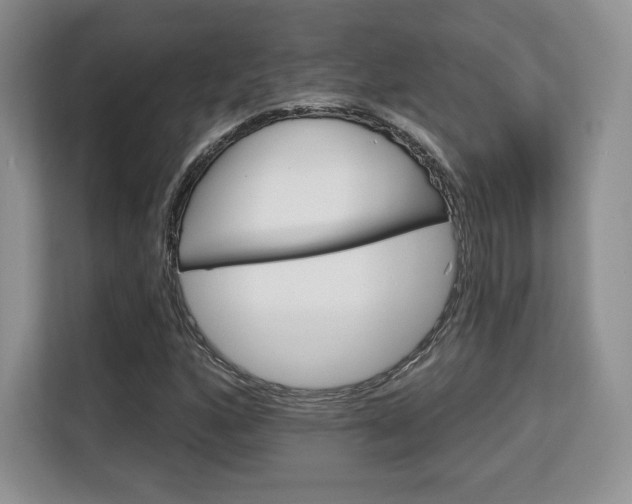 X0000113131160200909110908