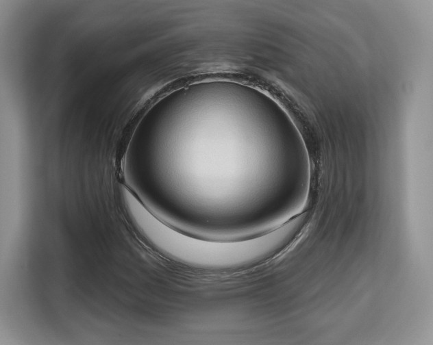 X0000113131161200909110908