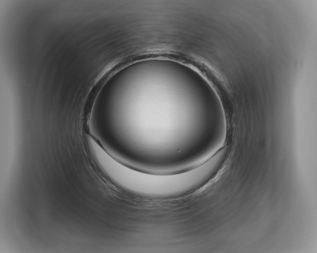 X0000113131162200909110908