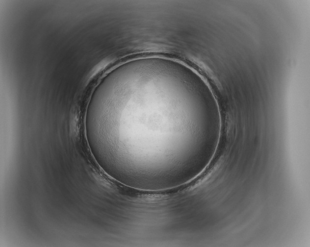 X0000113131163200909110908