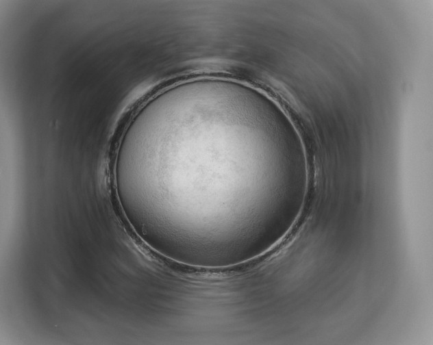 X0000113131164200909110908