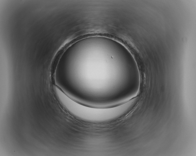 X0000113131165200909110908