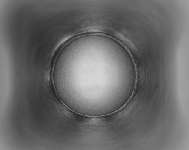 X0000113131166200909110908