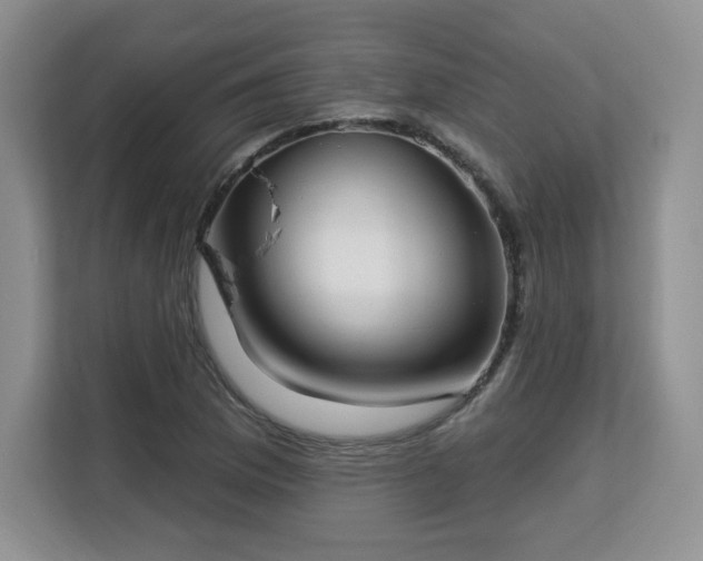 X0000113131169200909110908