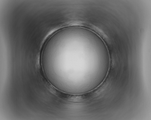 X0000113131174200909110908