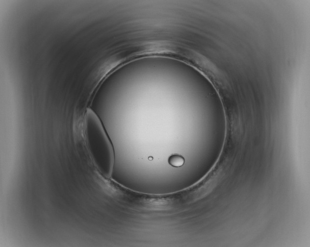 X0000113131177200909110908