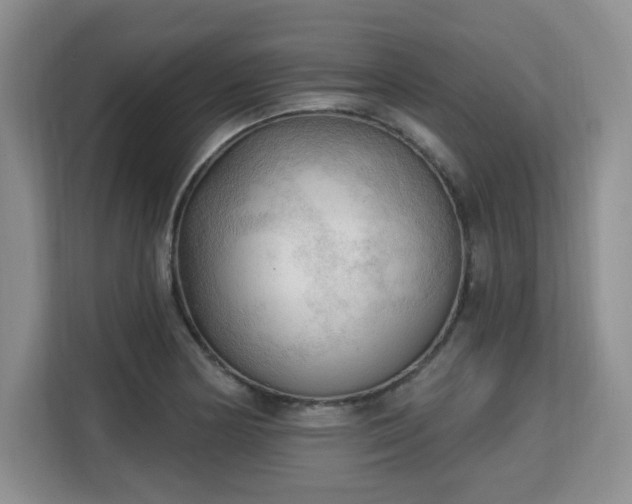 X0000113131178200909110908